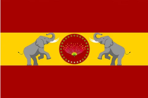 TVK flag